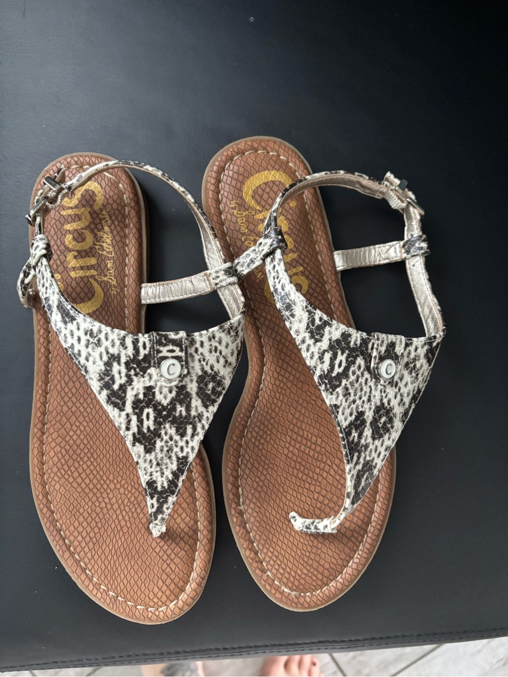 Circus by Sam Edelman Brown and Black Snake Print Thong Sandals